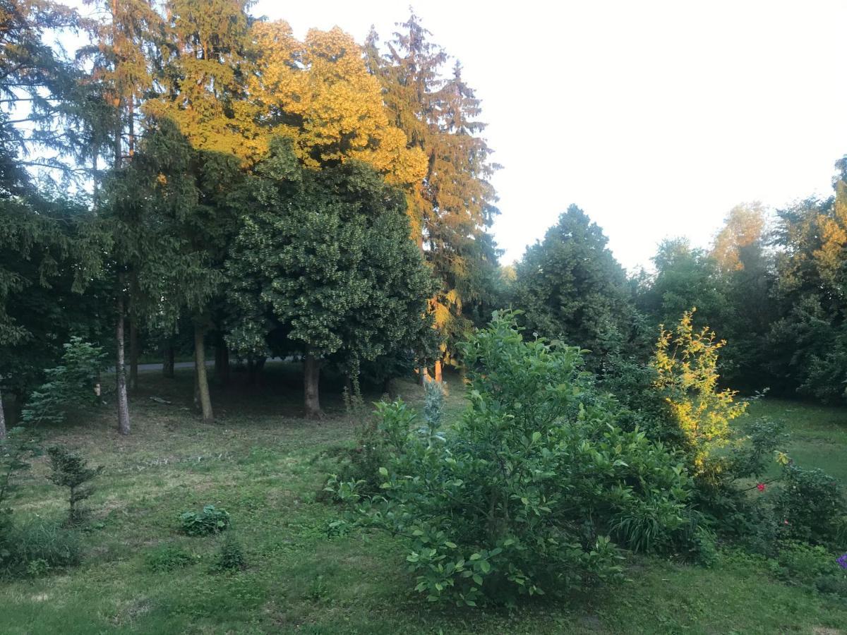 Zabytkowy Drewniany Dom Z 1887 Roku Nowy Dwor Gdanski Luaran gambar